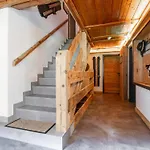 Holiday home Bergzeit Hollersbach Xl